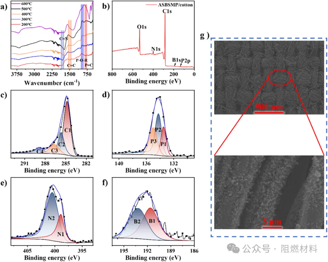 1 (15).jpg 1 (15).jpg